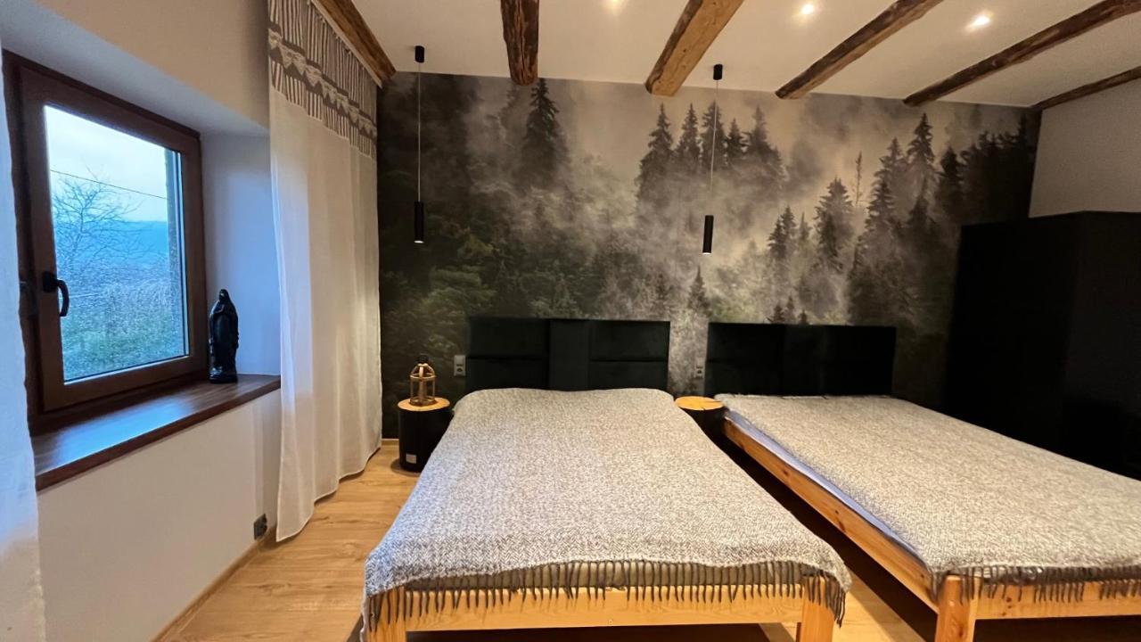 Dom Grabowa Z Sauna I Podgrzewanym Basenem Gilowice  Eksteriør billede