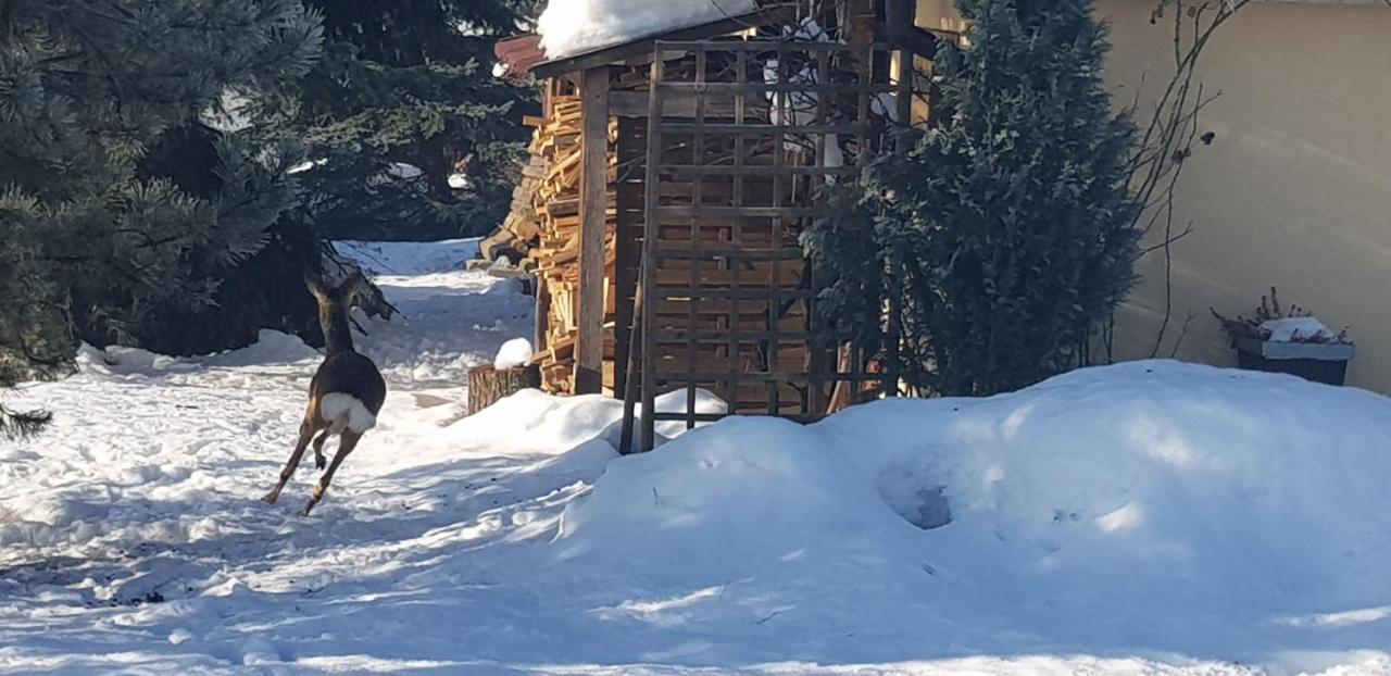 Dom Grabowa Z Sauna I Podgrzewanym Basenem Gilowice  Eksteriør billede